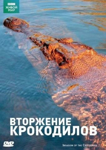 Постер BBC: Вторжение крокодилов 2006