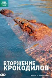 BBC: Вторжение крокодилов 2006 постер