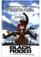 Черное родео 1972 постер