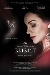 Визит 2013 постер