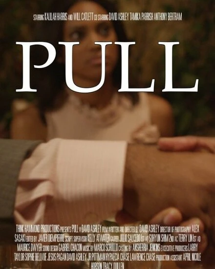 Постер Pull 2014