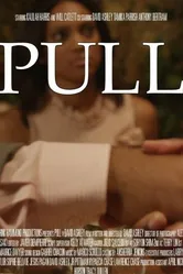 Pull 2014 постер