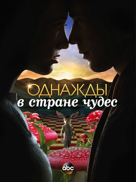 Постер Однажды в стране чудес 2013