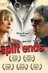 Split Ends 2009 постер
