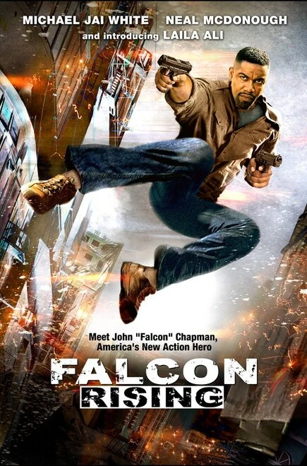 Постер Восхождение Сокола 2013