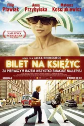 Билет в один конец на Луну 2013 постер
