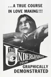 The Undergraduate 1971 постер