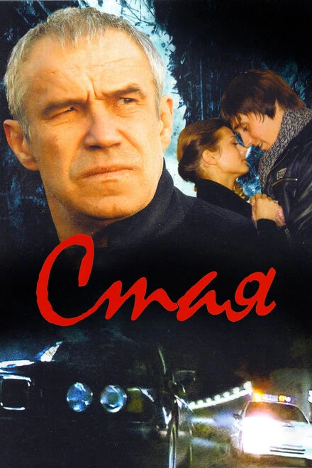 Постер Стая 2008