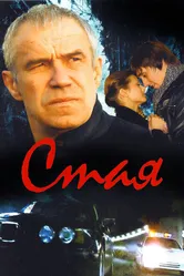 Стая 2008 постер