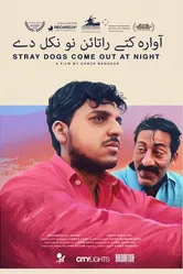 Stray Dogs Come Out at Night постер