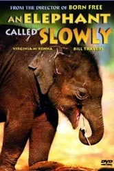 An Elephant Called Slowly постер