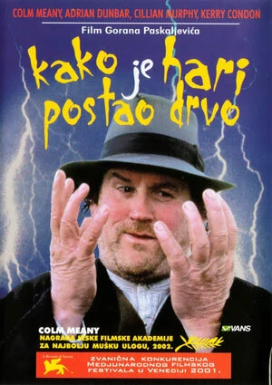 Постер Как Гарри превратился в дерево 2001