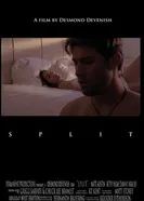 Split 2009 постер