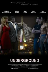 Underground 2010 постер
