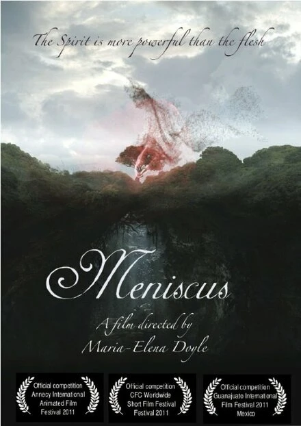 Постер Meniscus 2010
