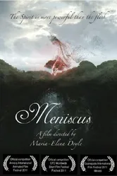 Meniscus 2010 постер