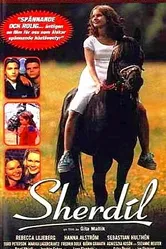 Sherdil 1999 постер
