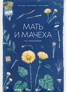 Мать и мачеха постер