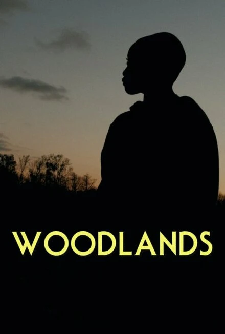 Постер Woodlands