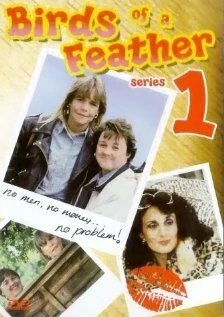 Постер Birds of a Feather 1989