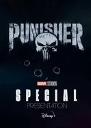 The Punisher Special Presentation постер