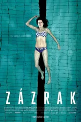 Чудо 2013, Словакия постер