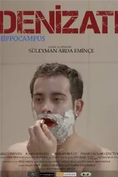 Hippocampus/Seahorse постер