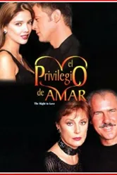 Привилегия любить 1998 постер