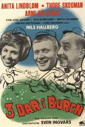 Tre dar i buren постер