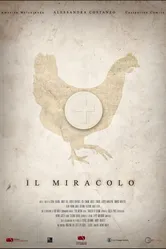 Il miracolo постер