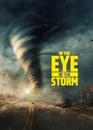 В сердце бури постер