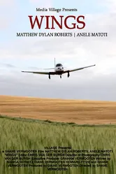 Wings 2013, ЮАР постер