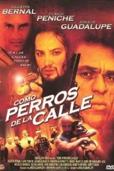 Como perros de la calle постер