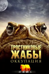 Тростниковые жабы: Оккупация 2010 постер