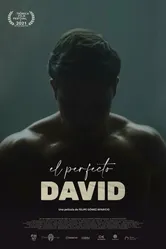 El perfecto David постер