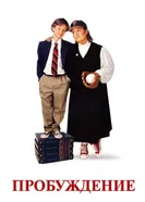 Пробуждение 1998 постер