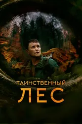 Таинственный лес 2023 постер