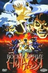 Воскрешение ниндзя: Месть Дзюбея 1997 постер