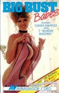 Постер Big Bust Babes