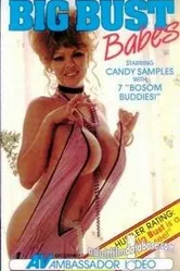 Big Bust Babes постер