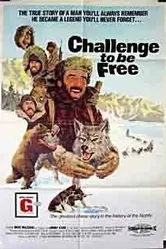 Challenge to Be Free постер