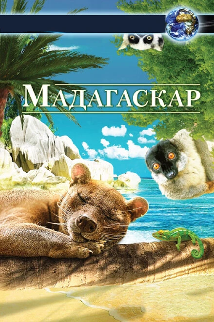 Постер Мадагаскар 3D 2013