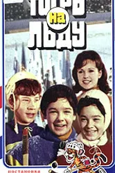 «Тигры» на льду 1971 постер