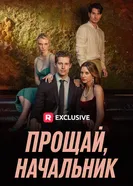Прощай, начальник постер