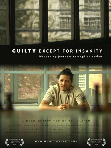 Постер Guilty Except for Insanity