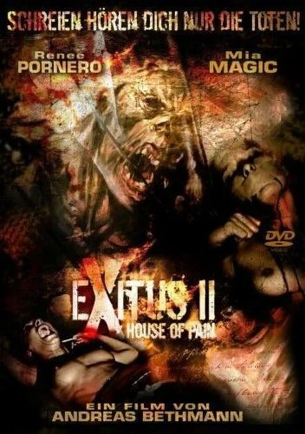 Постер Прерванная жизнь 2: Дом боли 2008