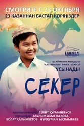Секер 2009 постер