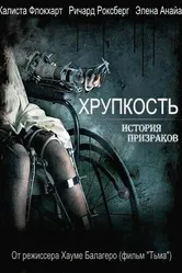 Хрупкость 2005 постер