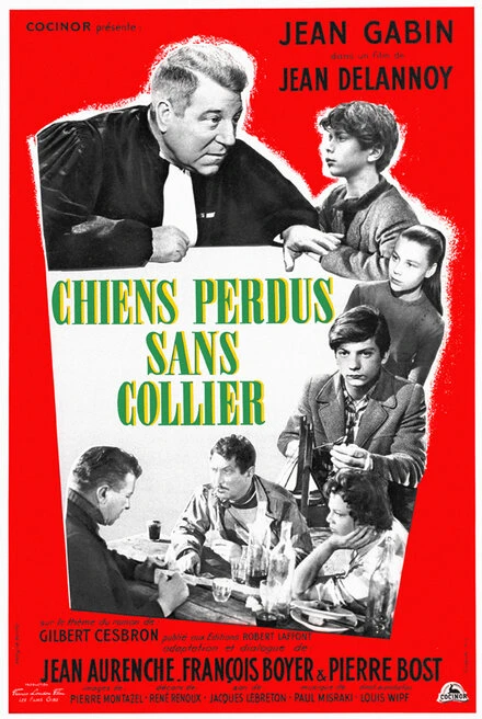 Постер Бродячие собаки без ошейников 1955