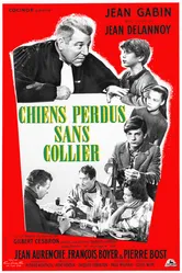 Бродячие собаки без ошейников 1955 постер